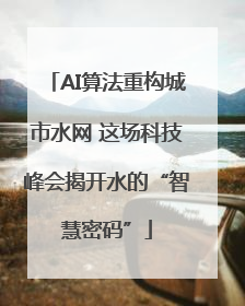AI算法重构城市水网 这场科技峰会揭开水的“智慧密码”