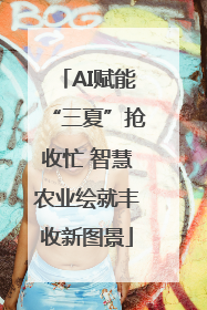 AI赋能“三夏”抢收忙 智慧农业绘就丰收新图景