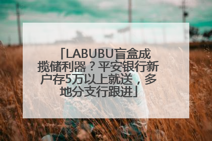 LABUBU盲盒成揽储利器？平安银行新户存5万以上就送，多地分支行跟进